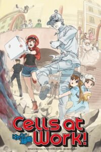 Cells at Work!